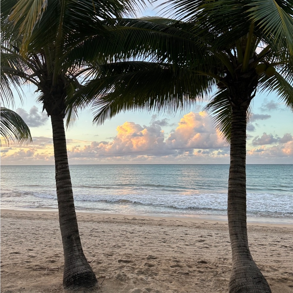 Meet your Posher, Beachyview